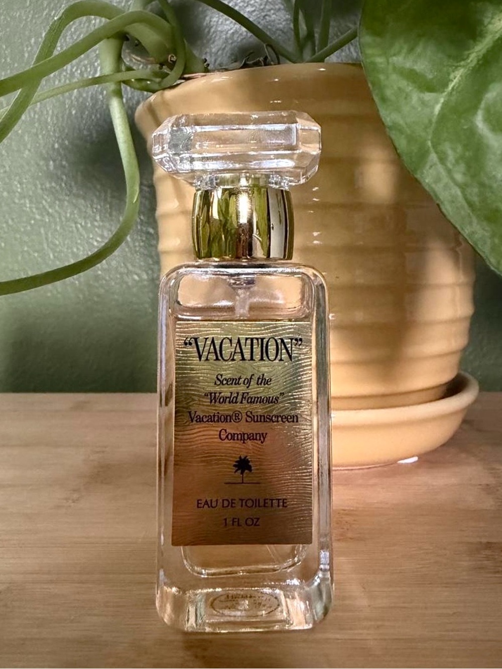 New Award-Winning Vacation (Vacation Sunscreen Company)
